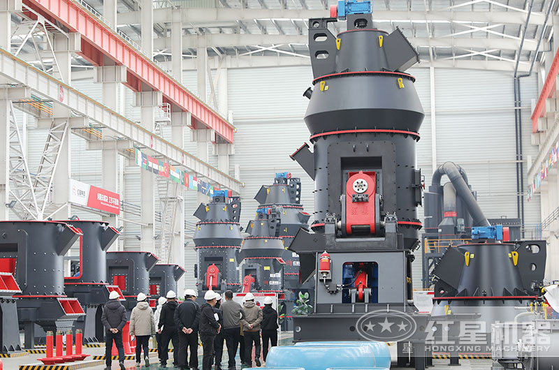 客戶來廠考察雷蒙磨粉機設(shè)備 客戶來廠考察雷蒙磨粉機設(shè)備